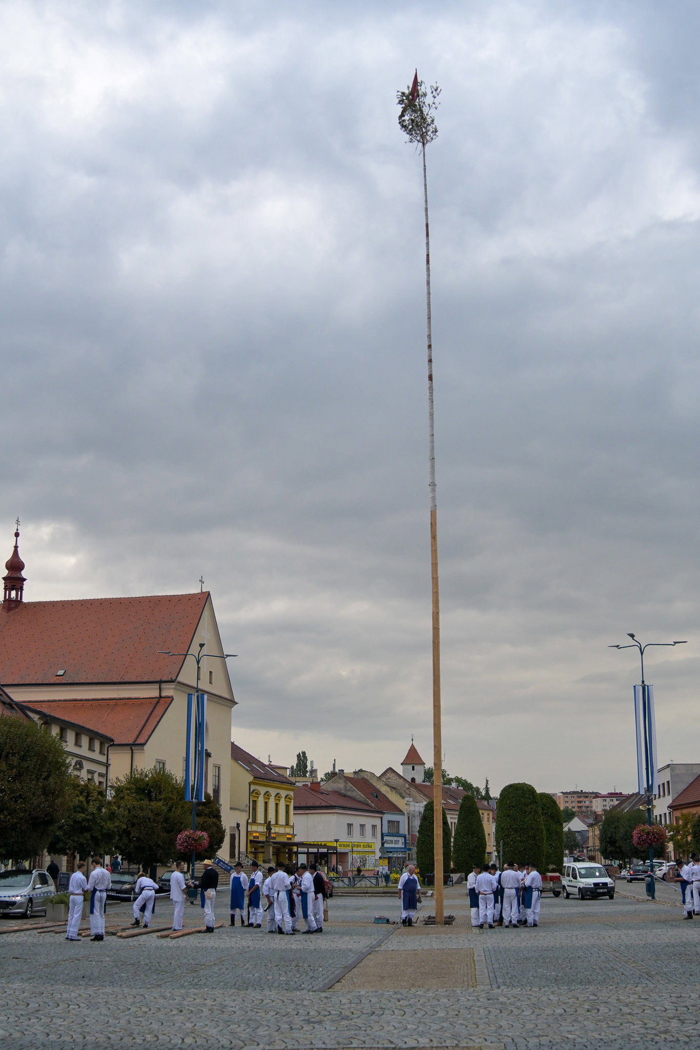 Kácení máje stavěnou k příležitosti 900 let města