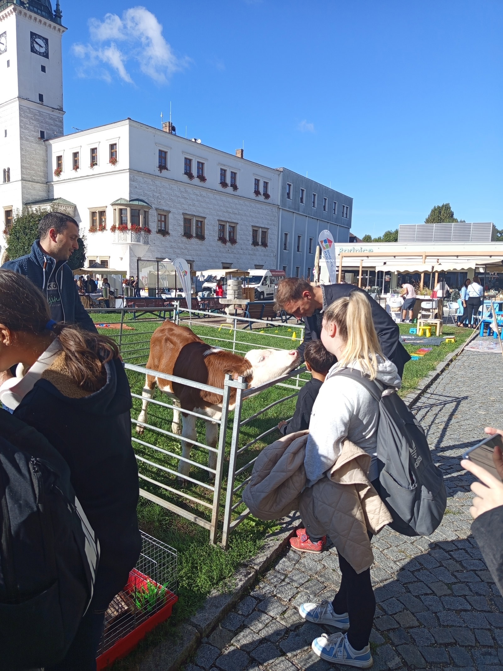 IMG_20250917_094954