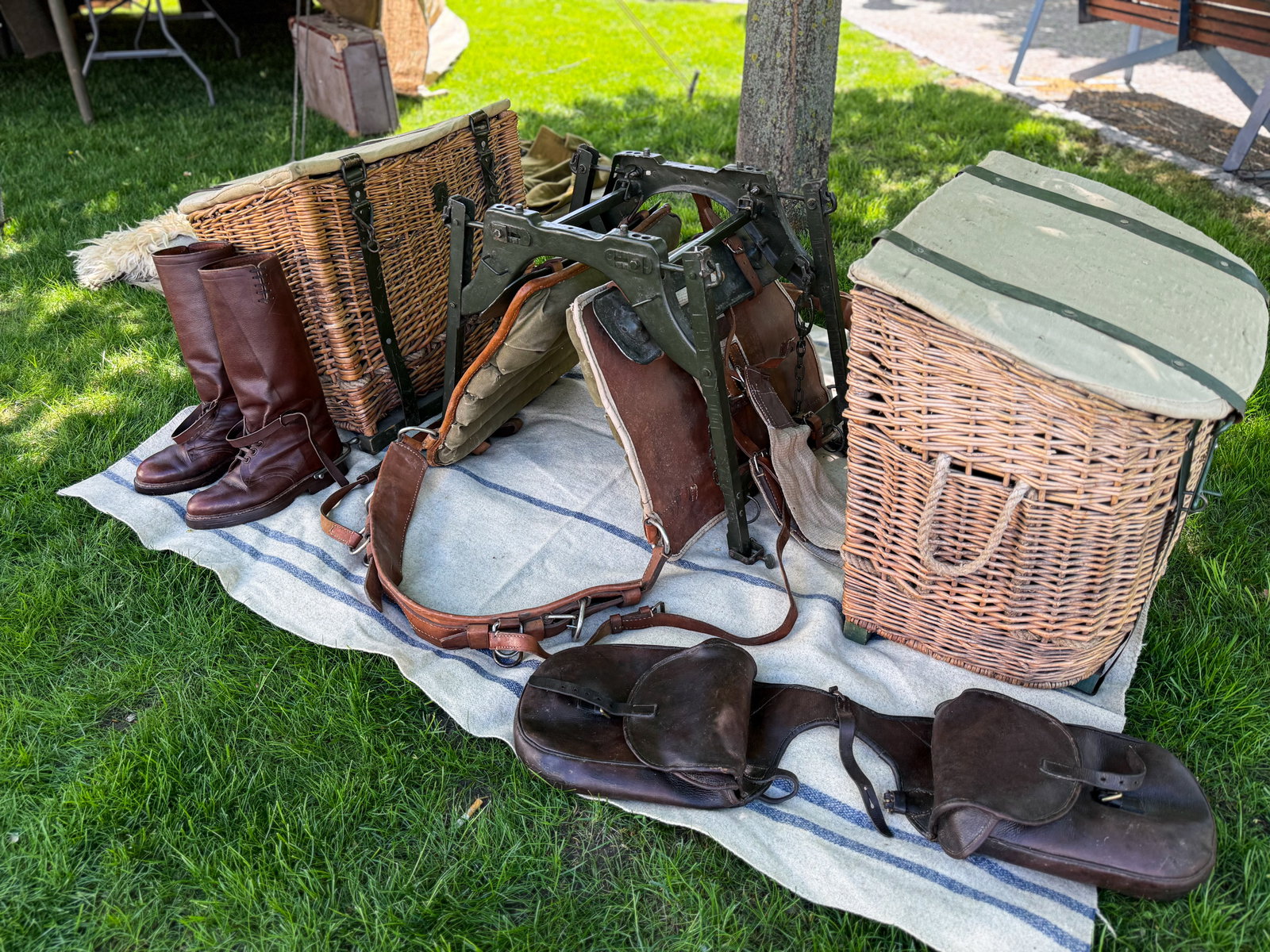 IMG_3837