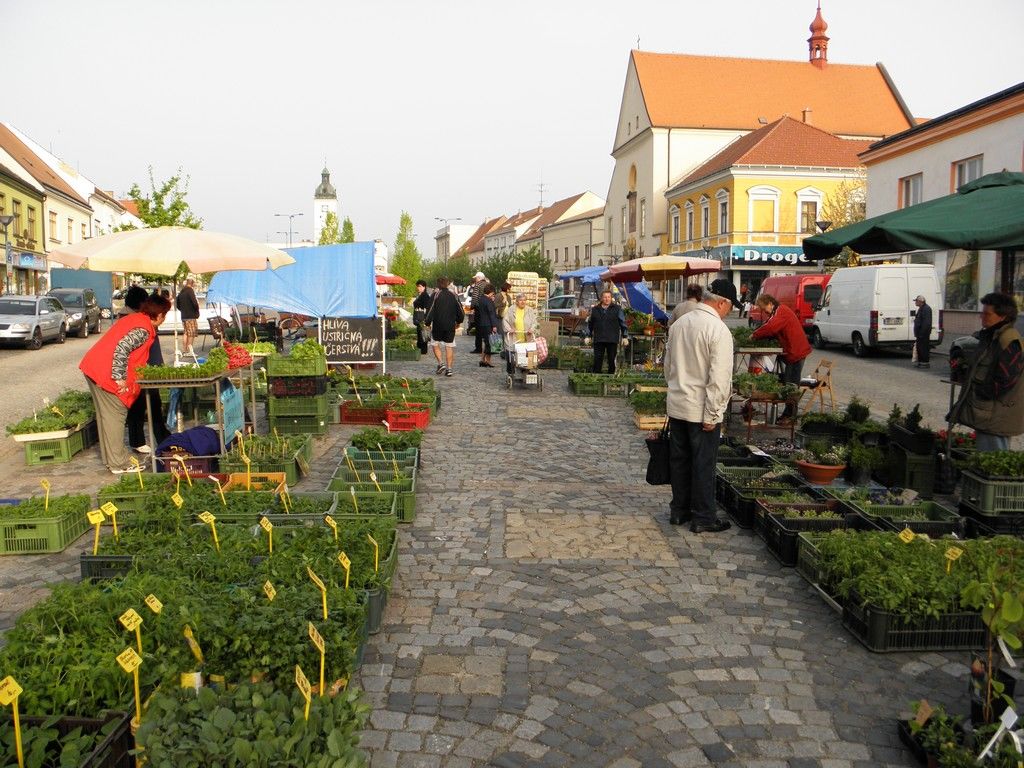 tržnice III.