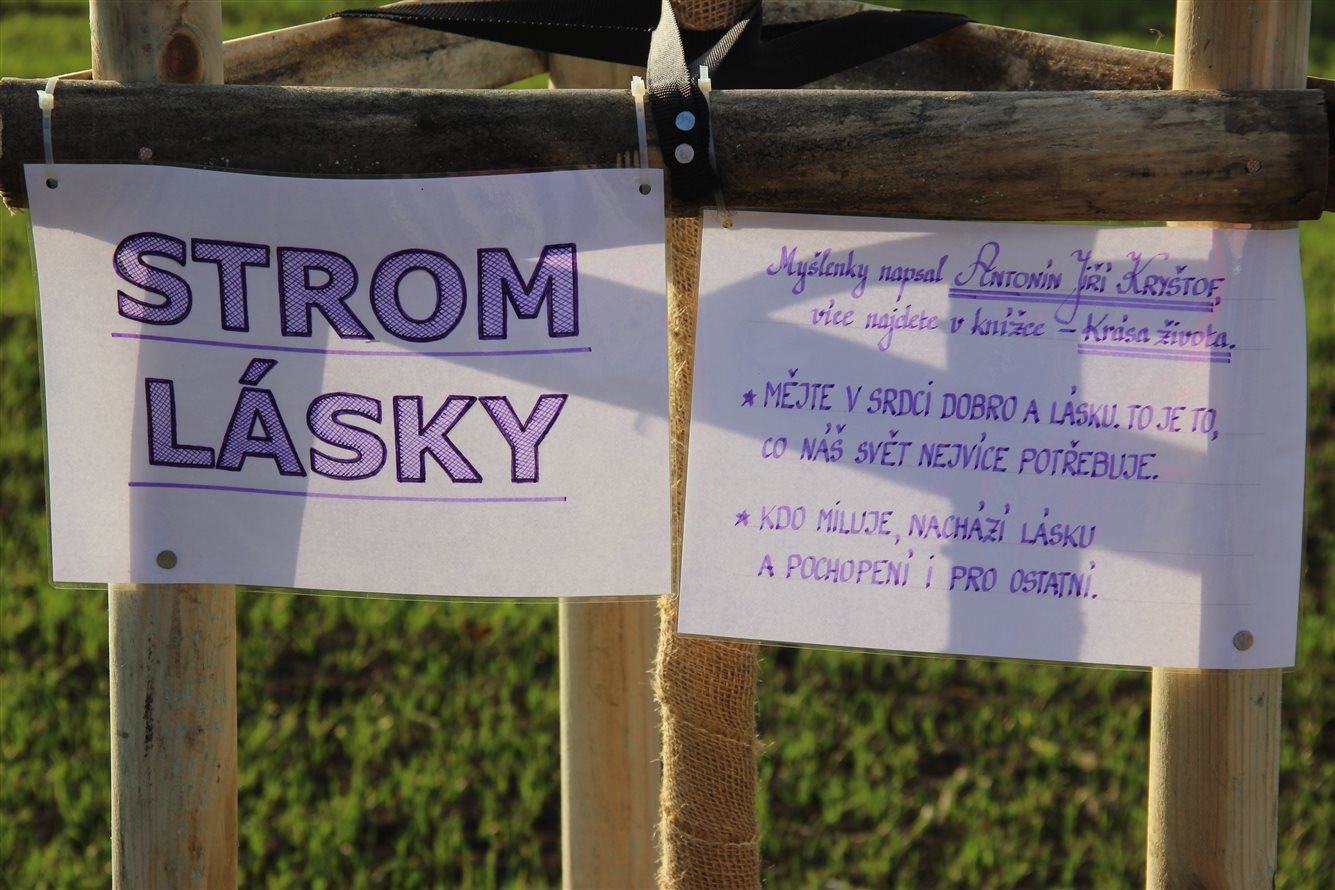 Strom lásky