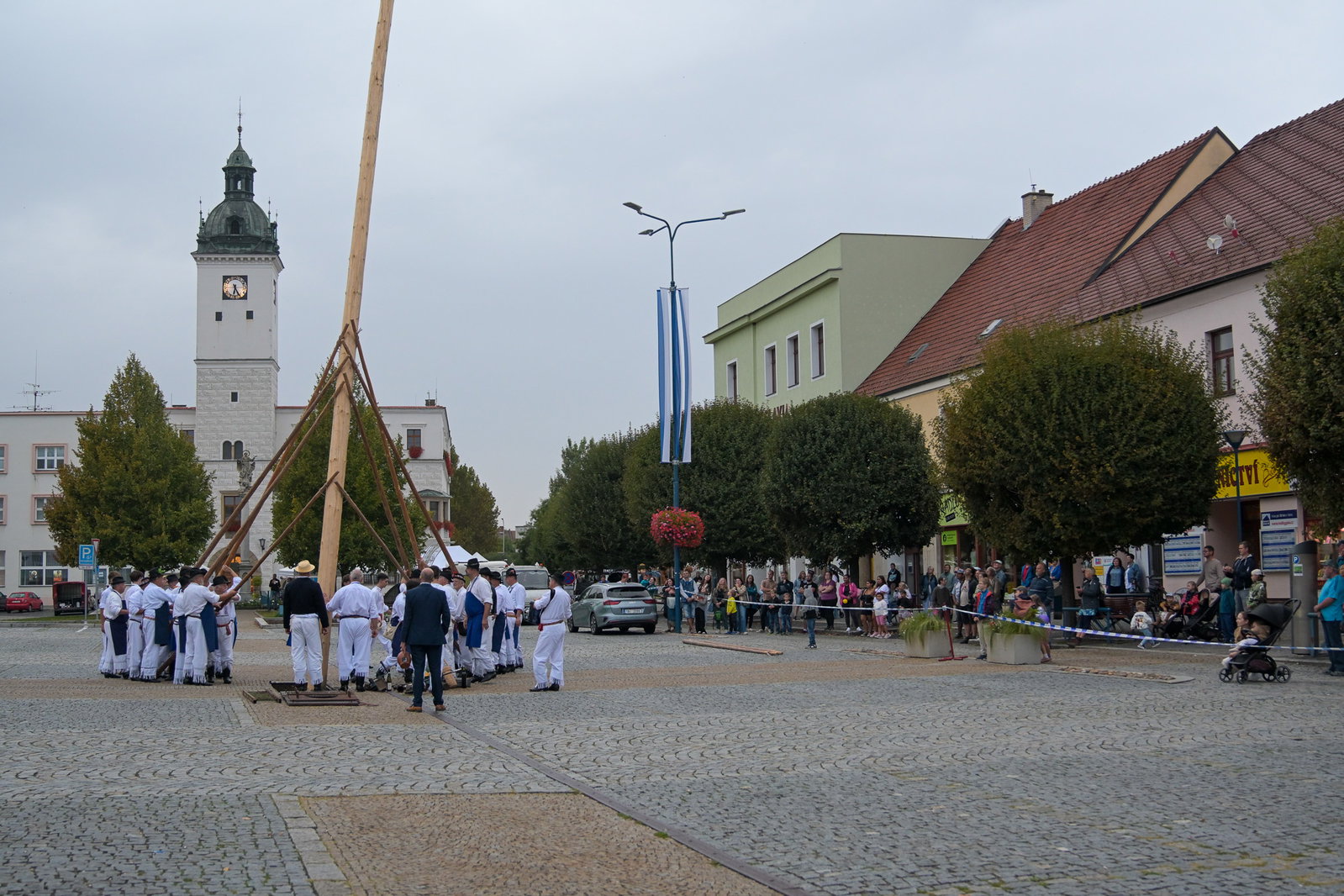 Kácení máje stavěnou k příležitosti 900 let města