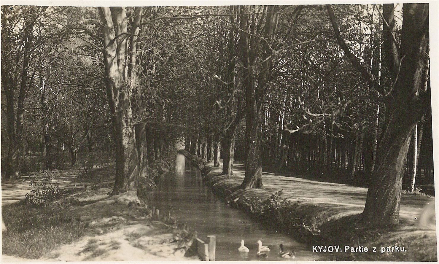 344 - mestsky-park