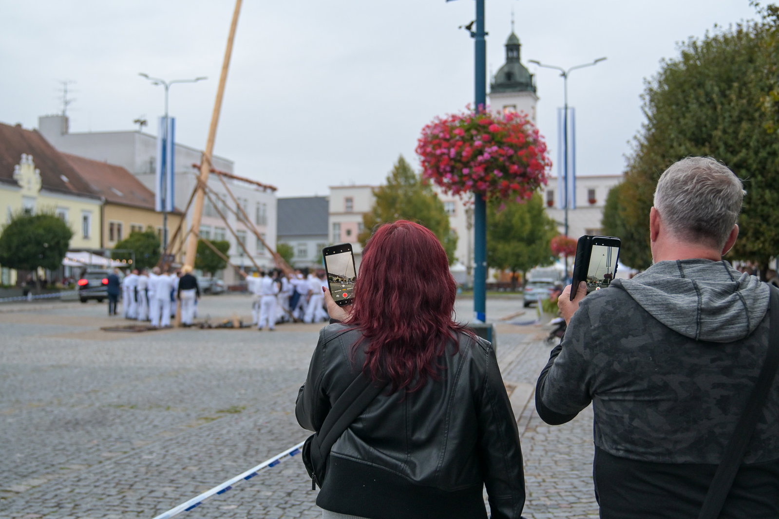 Kácení máje stavěnou k příležitosti 900 let města