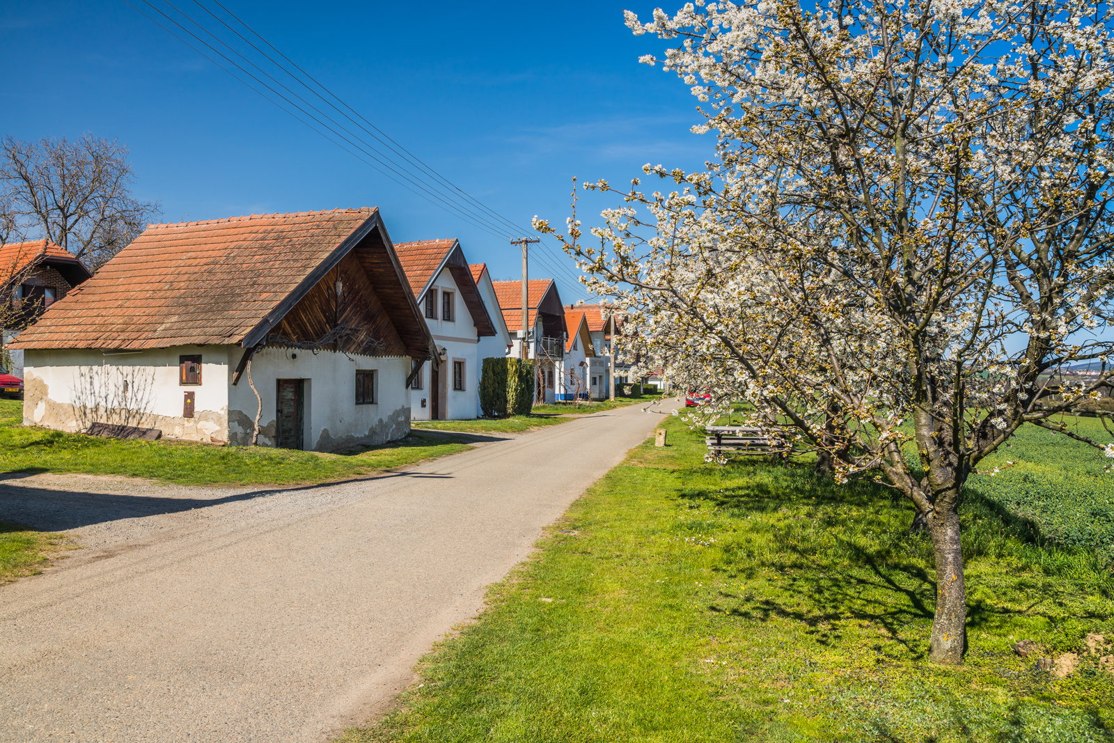Vlkoš