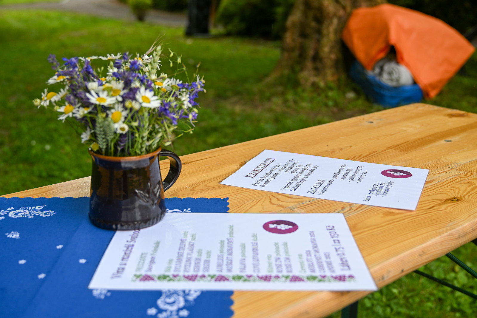 Festival vín Kyjovska 