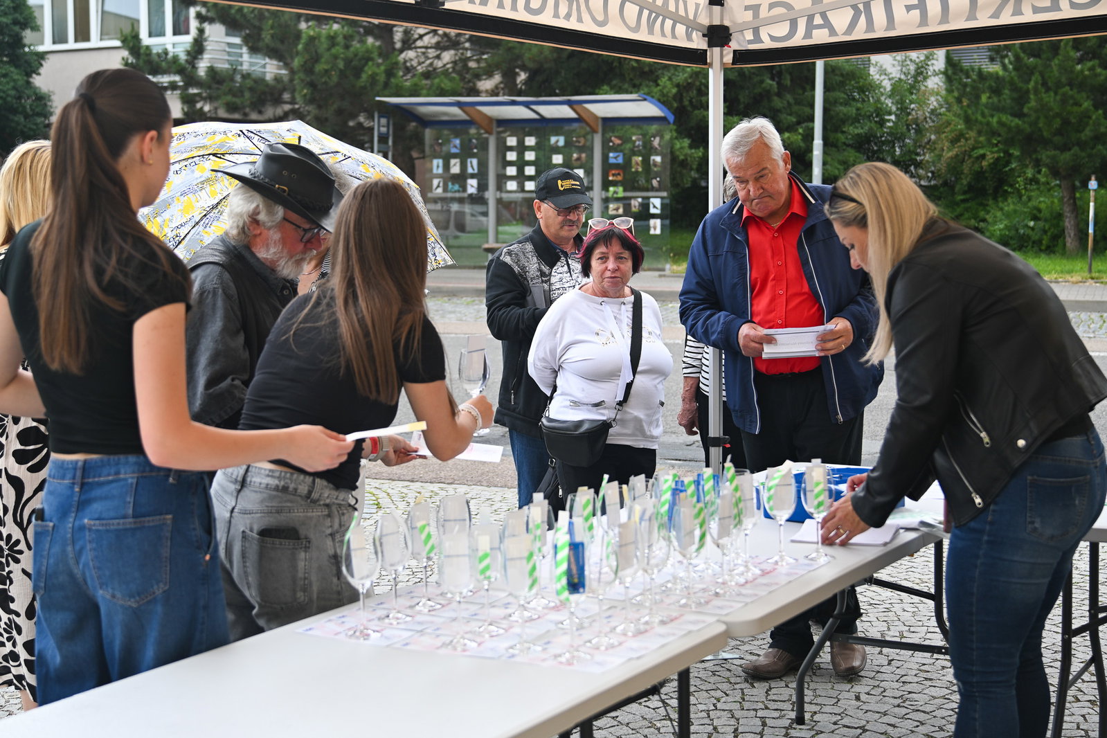 Festival vín Kyjovska 