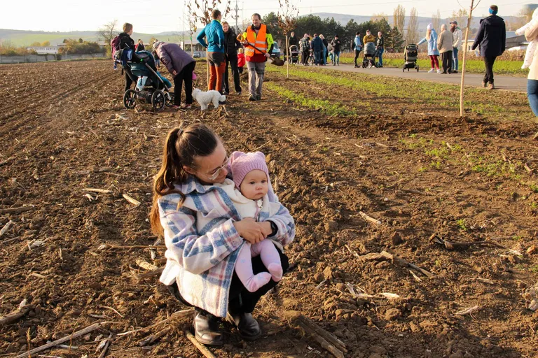 Letošní výsadba Aleje života se uskuteční 8. listopadu od 14 hodin