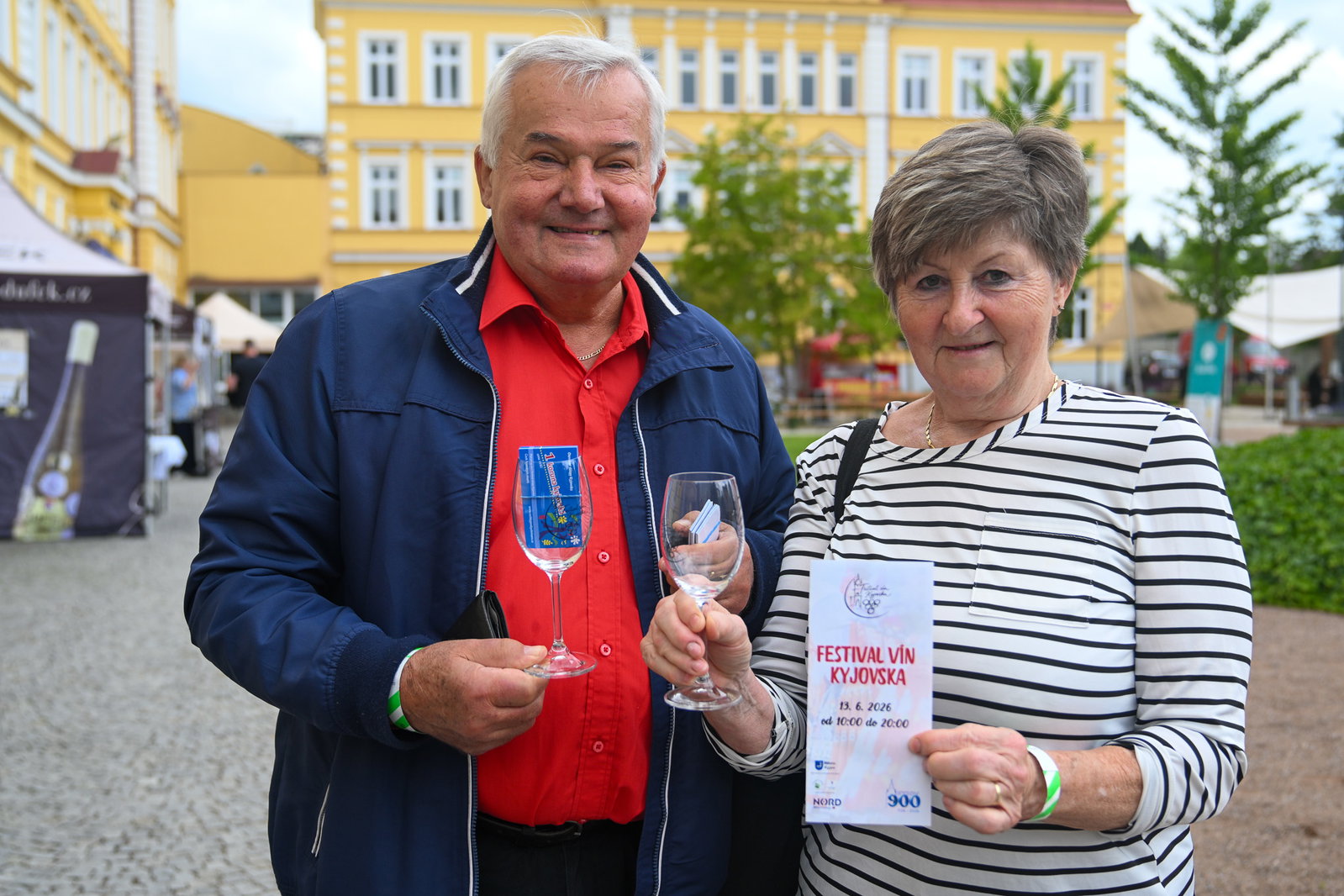 Festival vín Kyjovska 