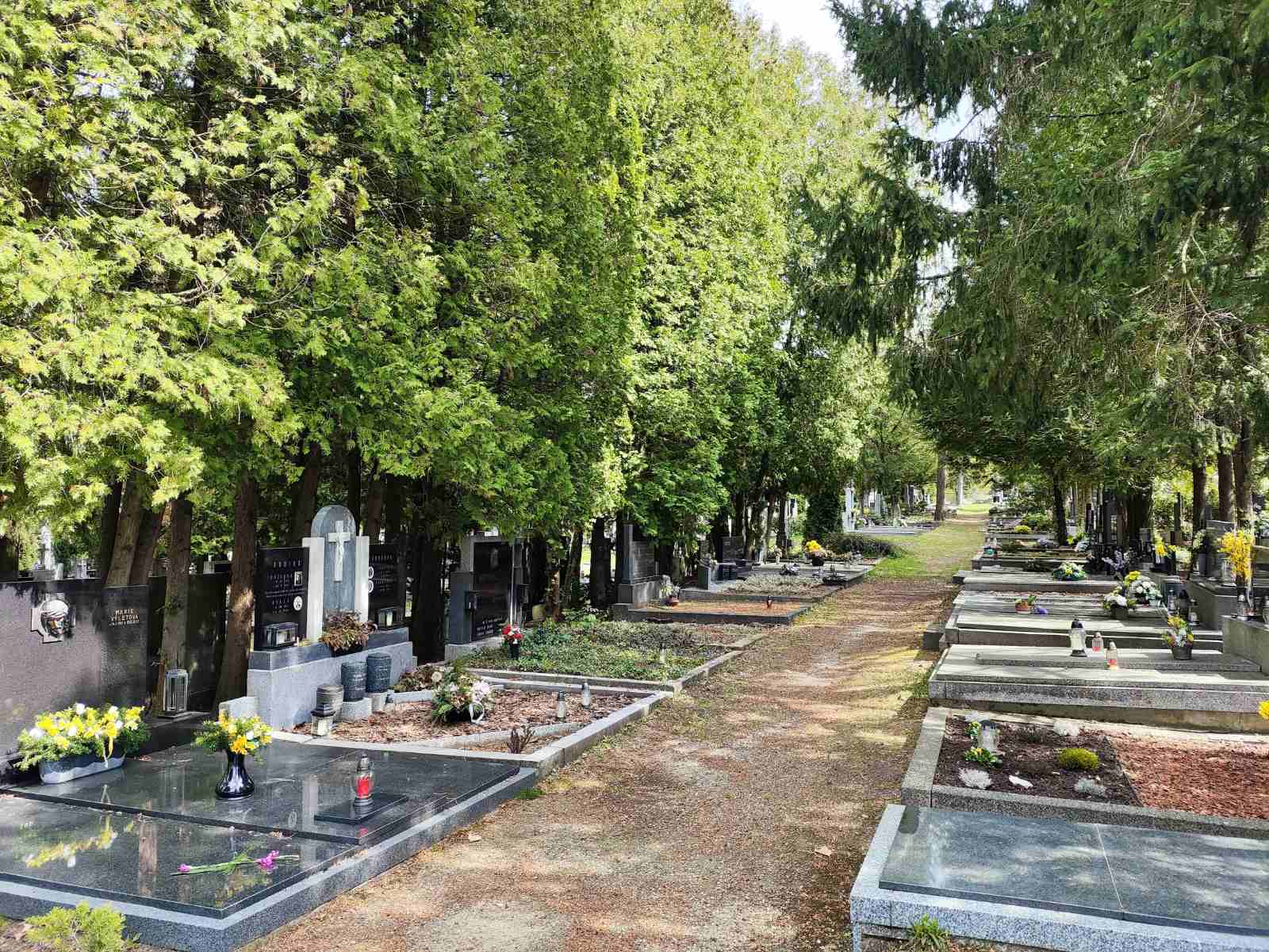 Hřbitov