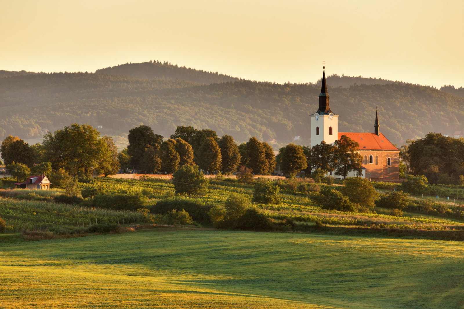 Kostel sv. Václava v Kostelci