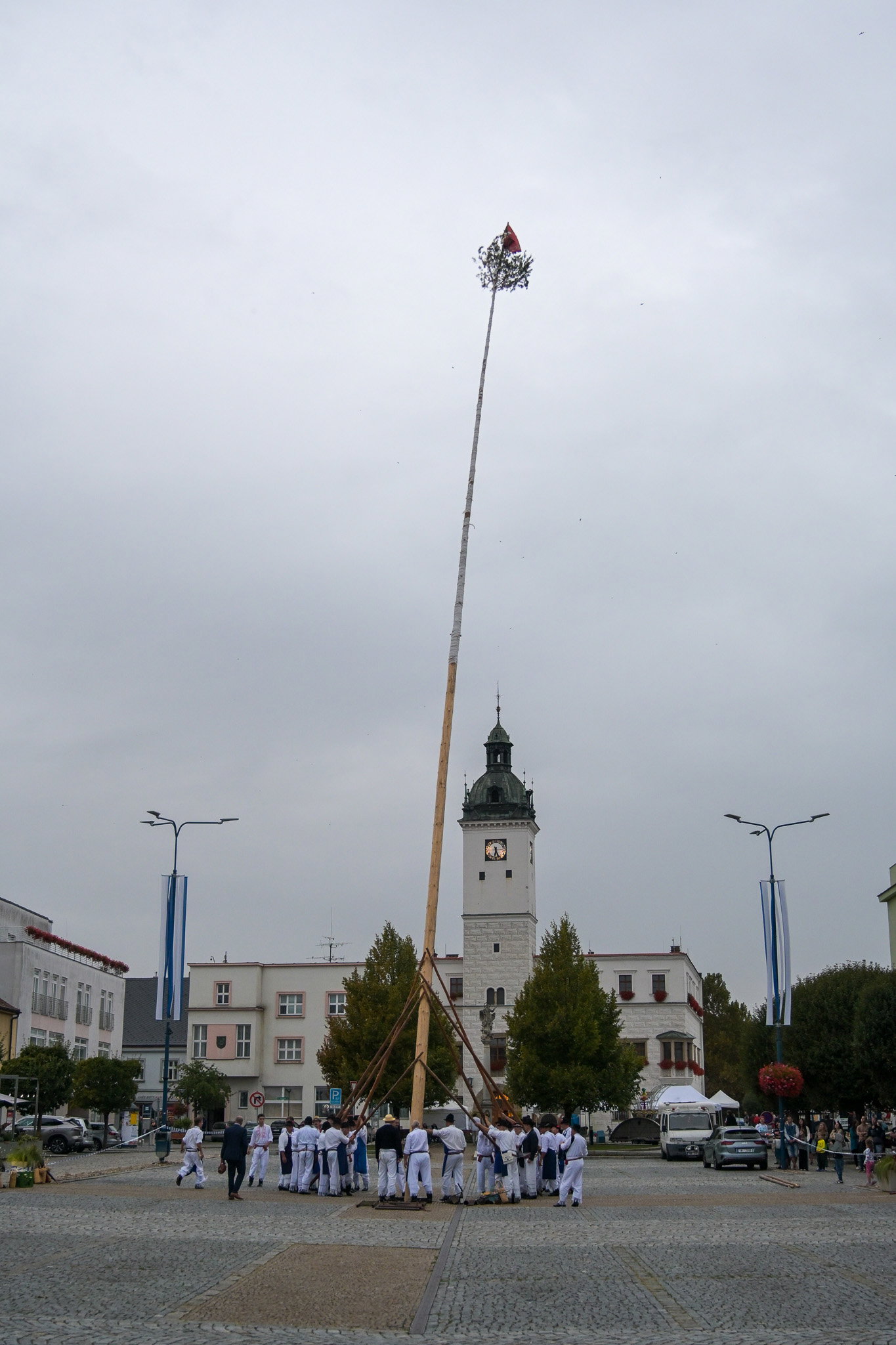 Kácení máje stavěnou k příležitosti 900 let města
