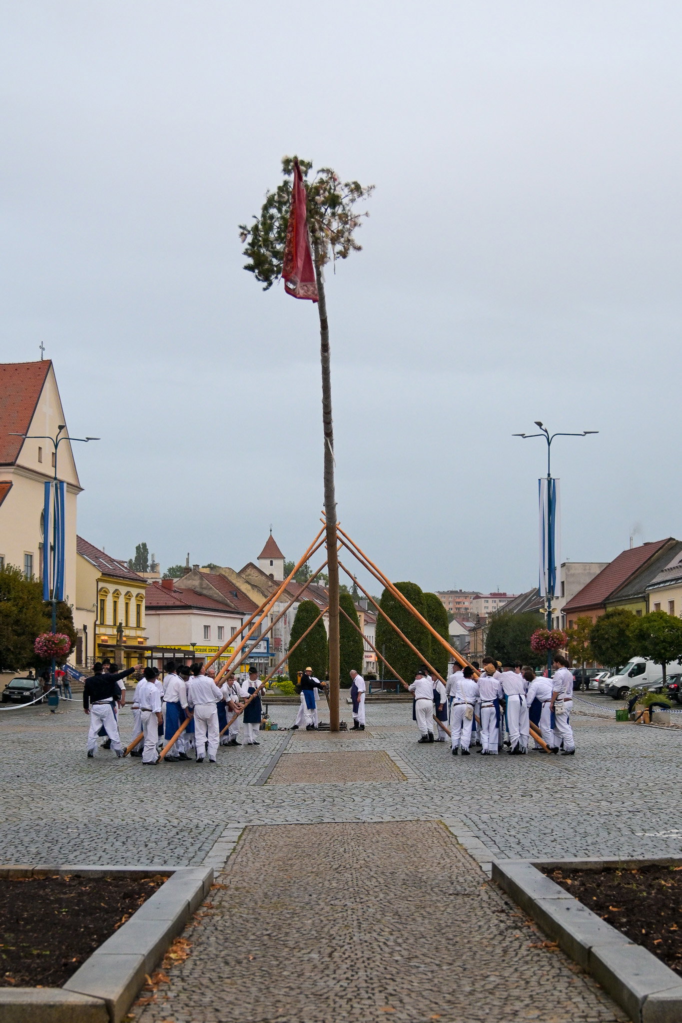 Kácení máje stavěnou k příležitosti 900 let města