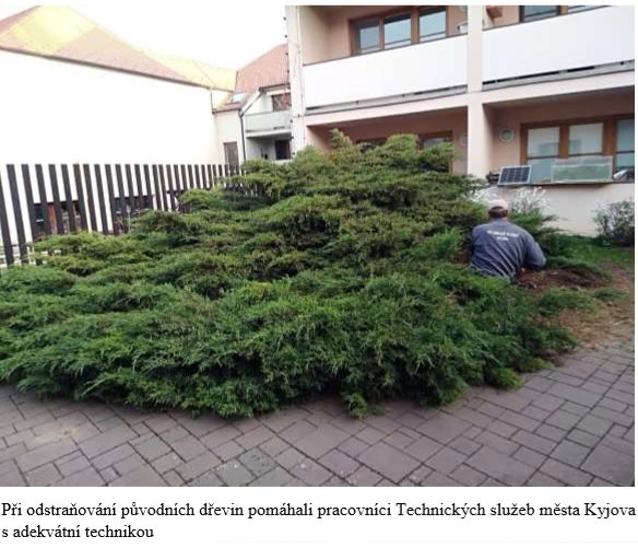 Výpomoc od technické služby