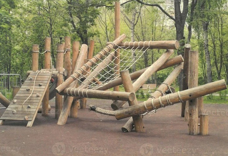 Participák