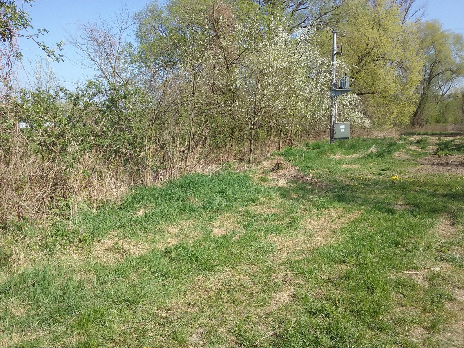Image (21)