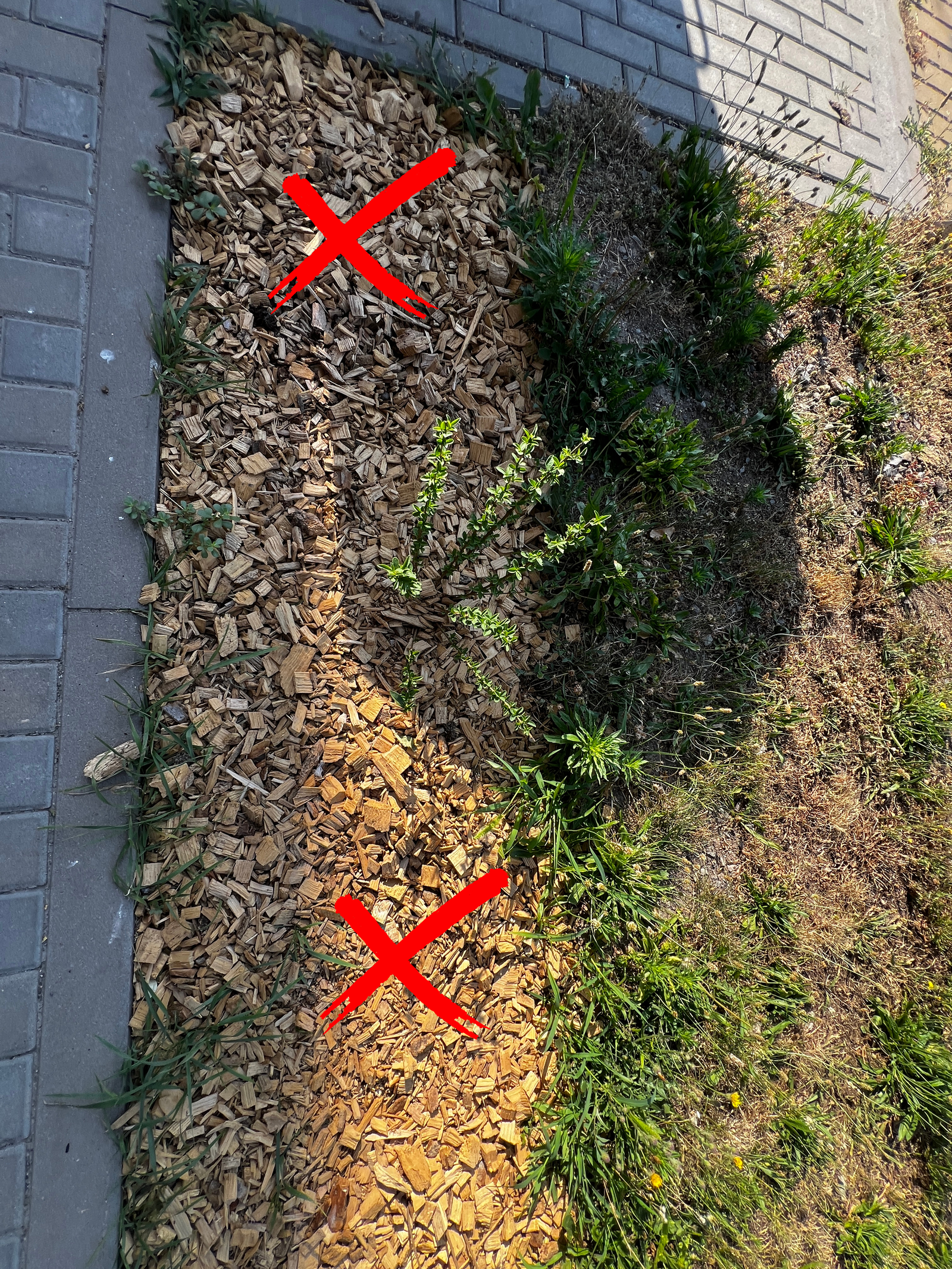 Návrh bez názvu
