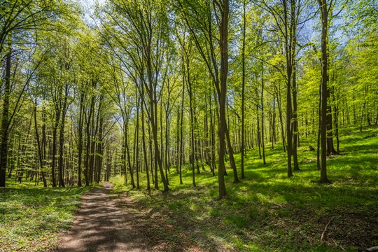 Přírodní park Ždánický les