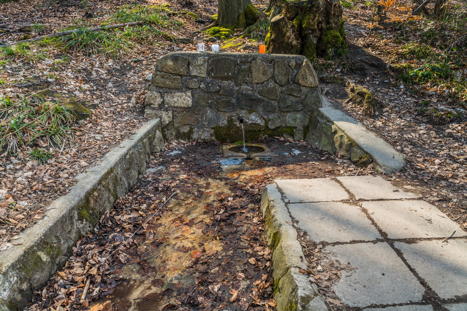 Studánka U Mísy