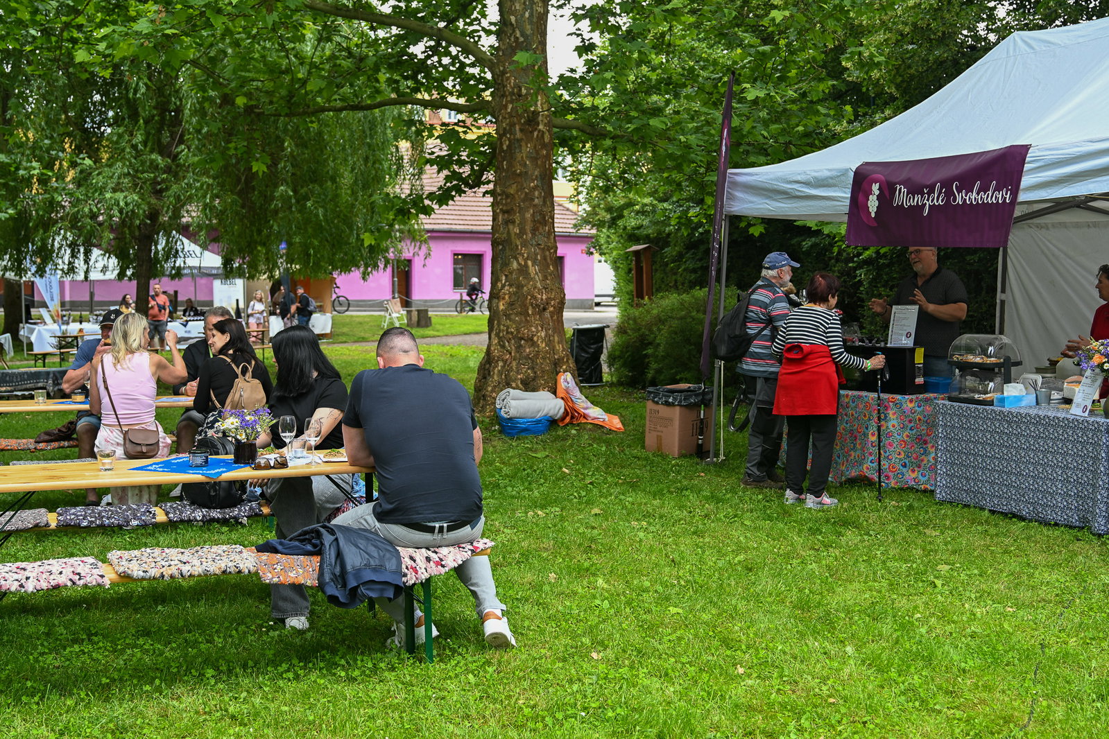 Festival vín Kyjovska 