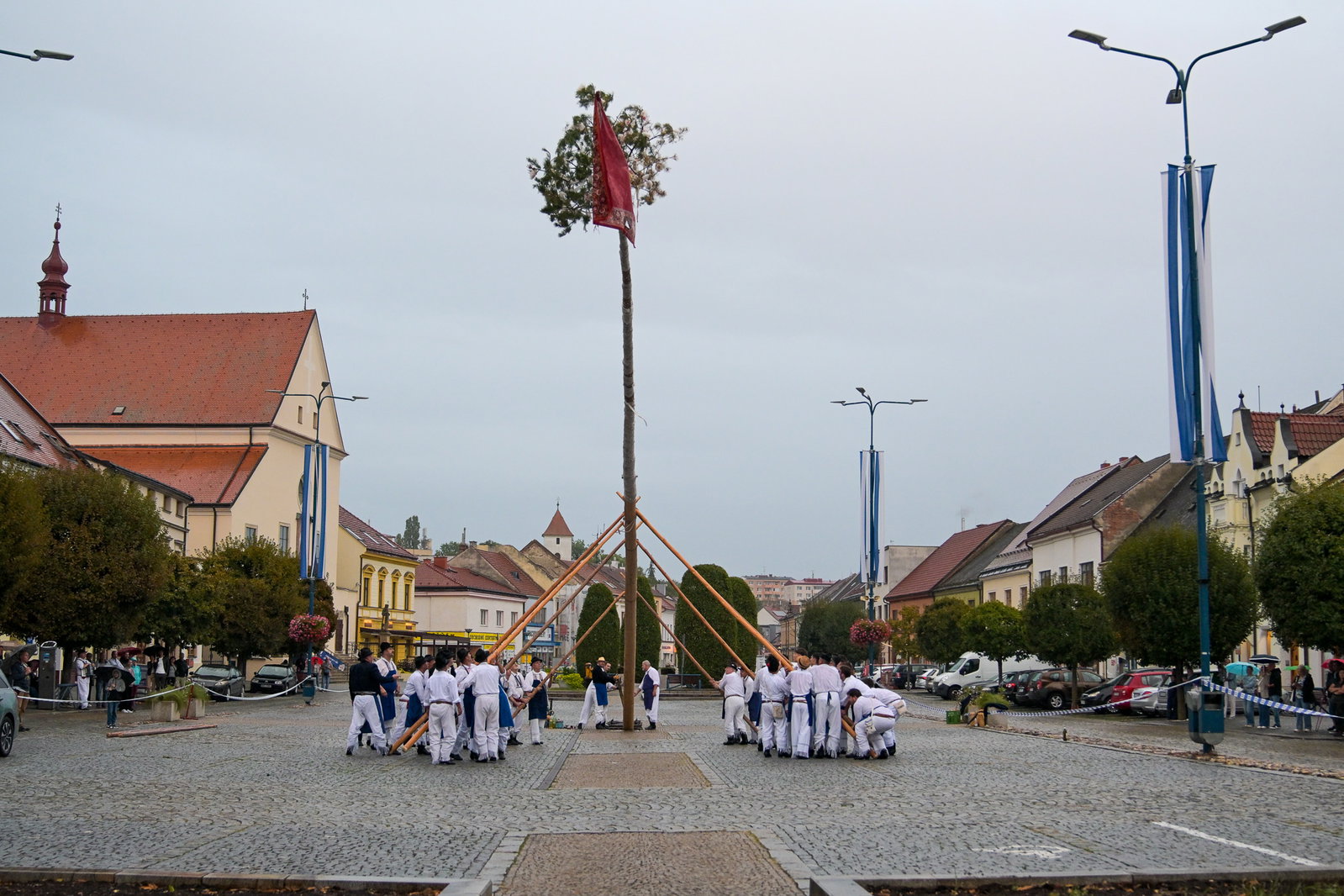 Kácení máje stavěnou k příležitosti 900 let města