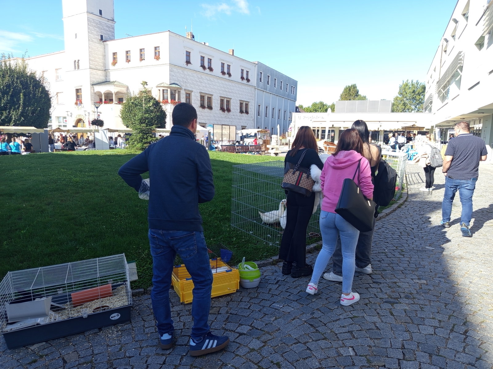 IMG_20250917_094820
