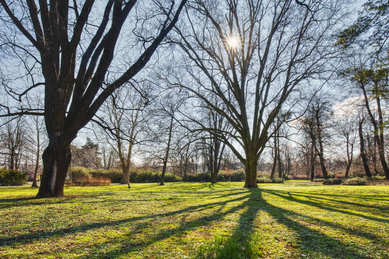 Park_02