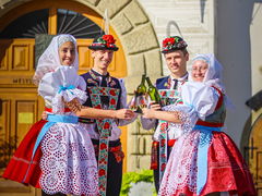Stárci