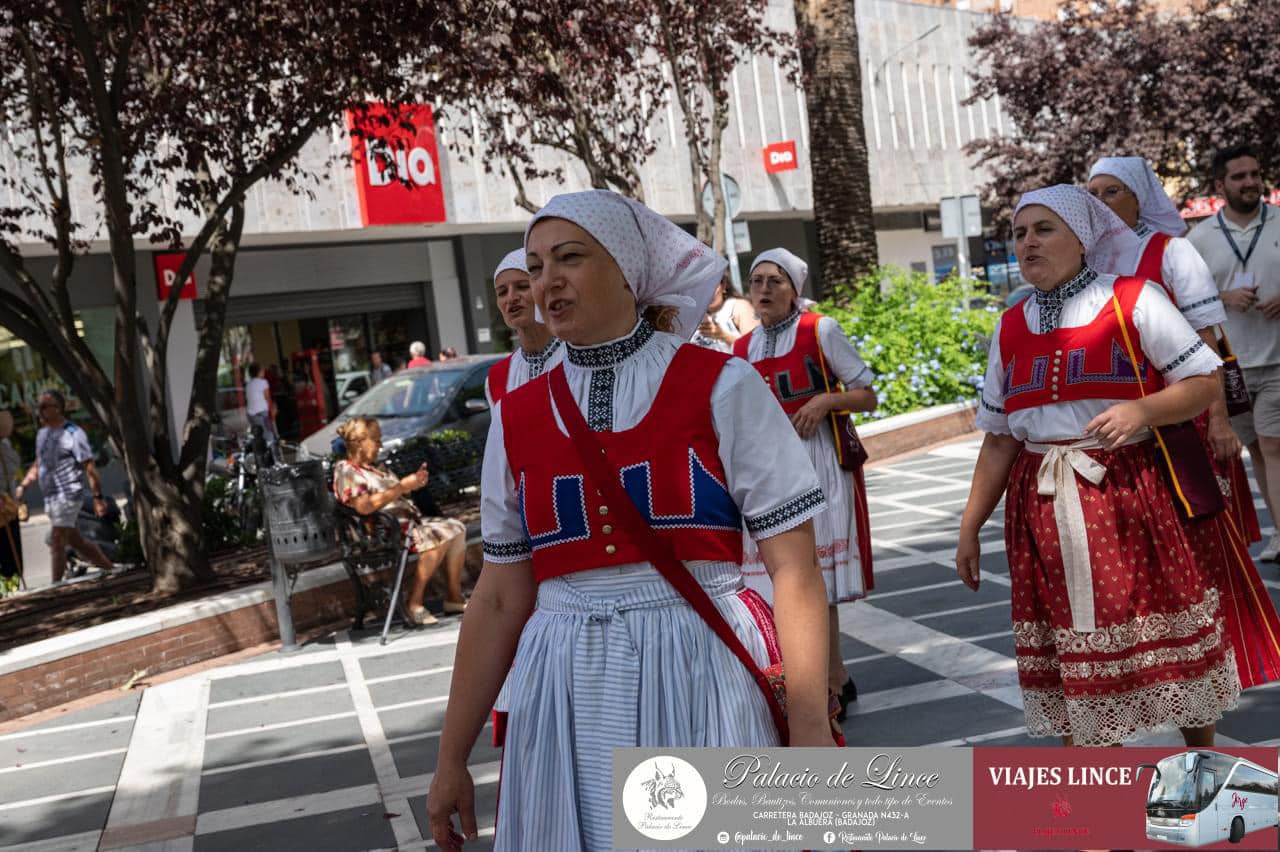 453219361_910707987760607_6608626208615926655_n