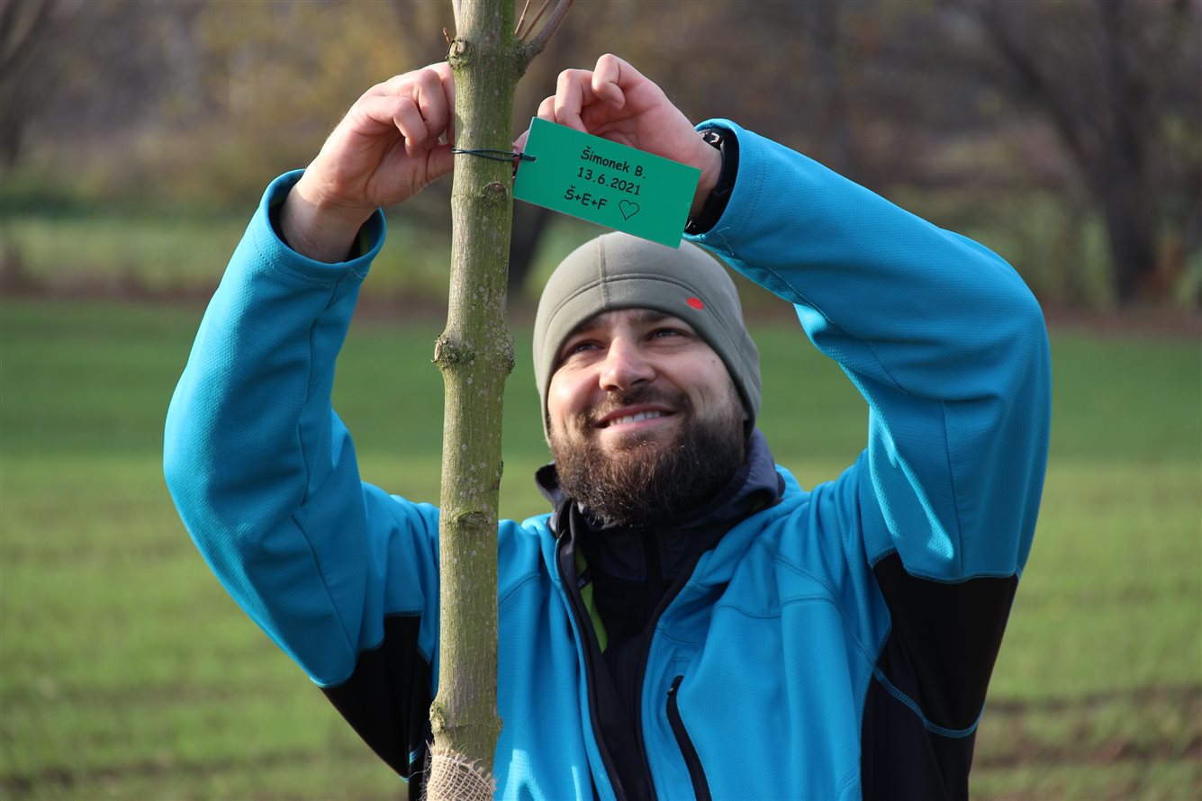 Kyjovská alej života