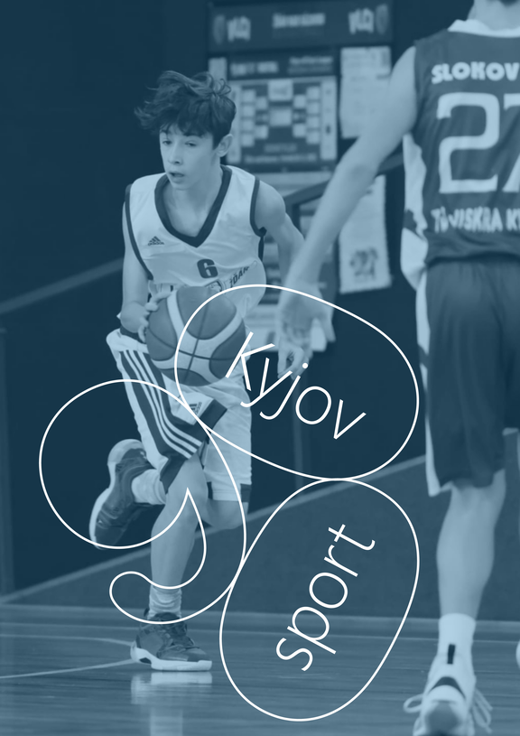 sport 900 web light blue