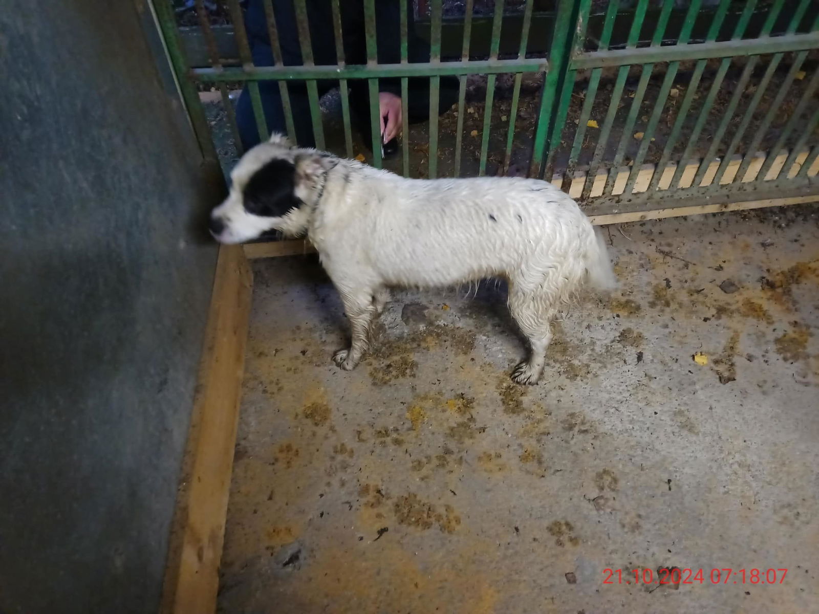 464084837_970914725073266_6944721619501945091_n