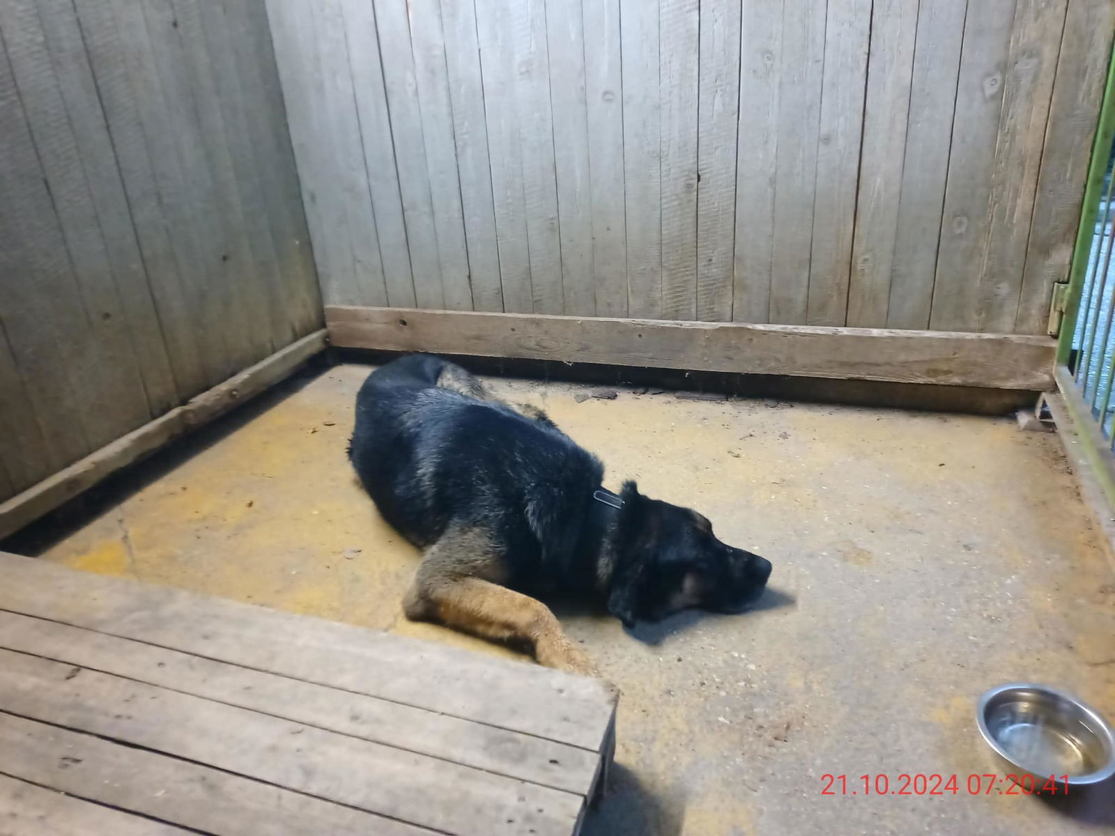 464146618_970914685073270_2576125746595051394_n