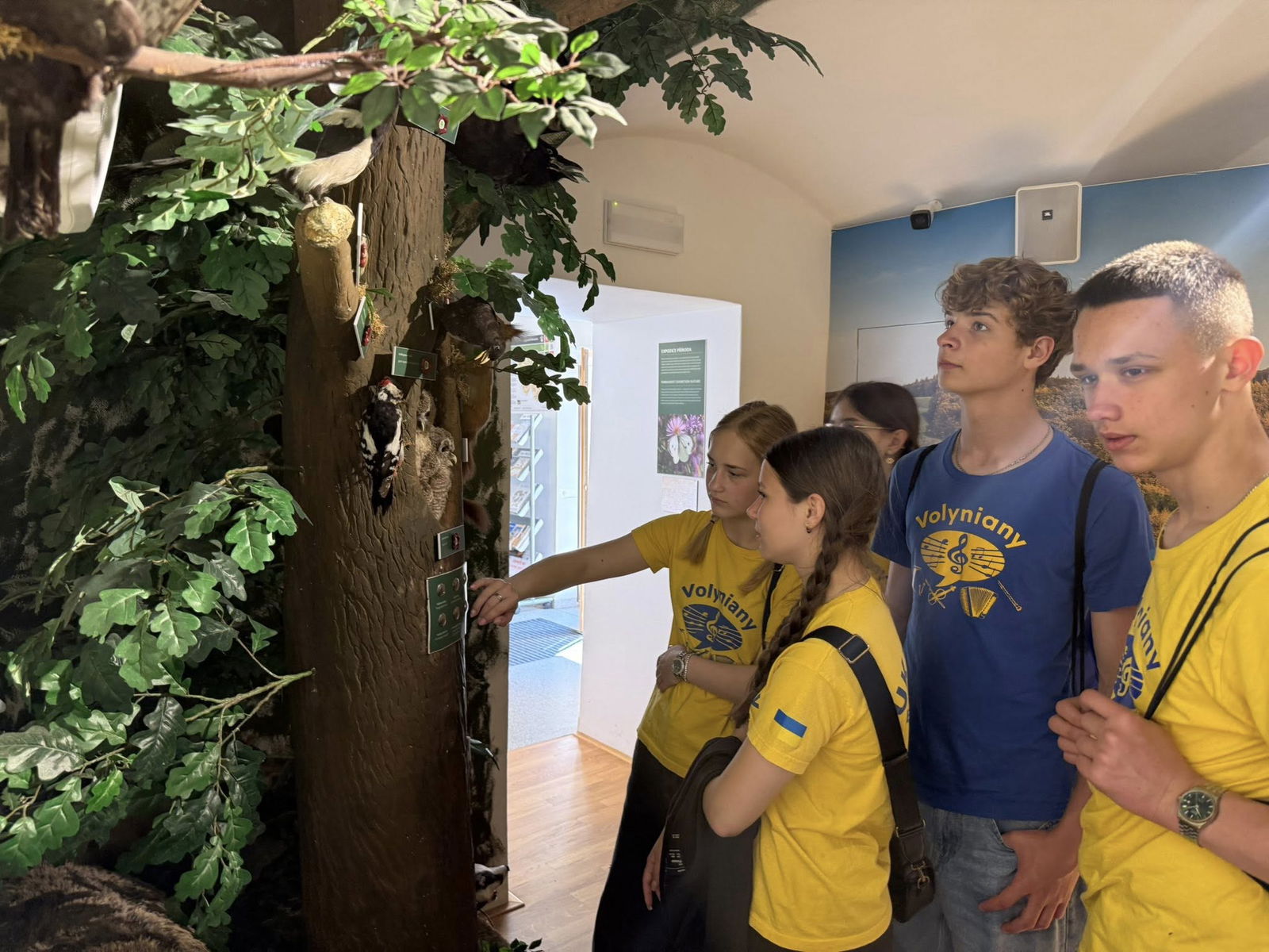 513374233_1163564629141607_2548983802212038685_n