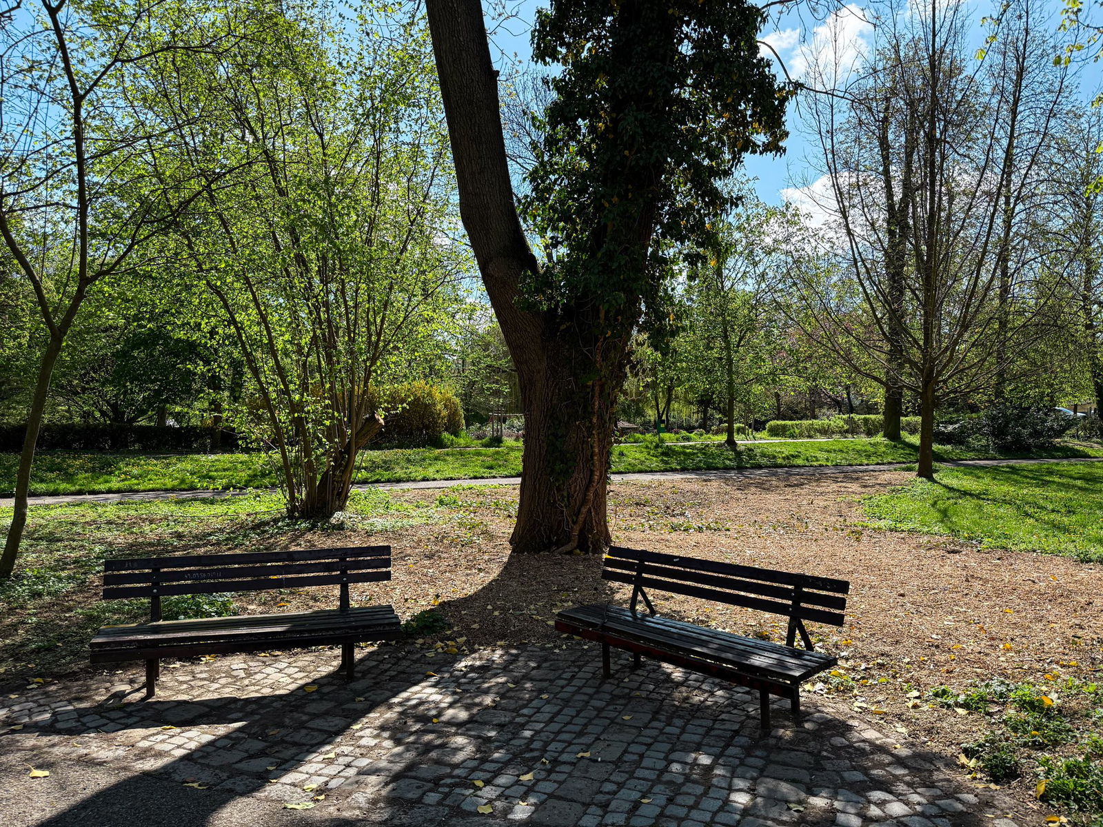 492226663_1113123314185739_4337429750019079250_n