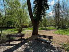 492226663_1113123314185739_4337429750019079250_n