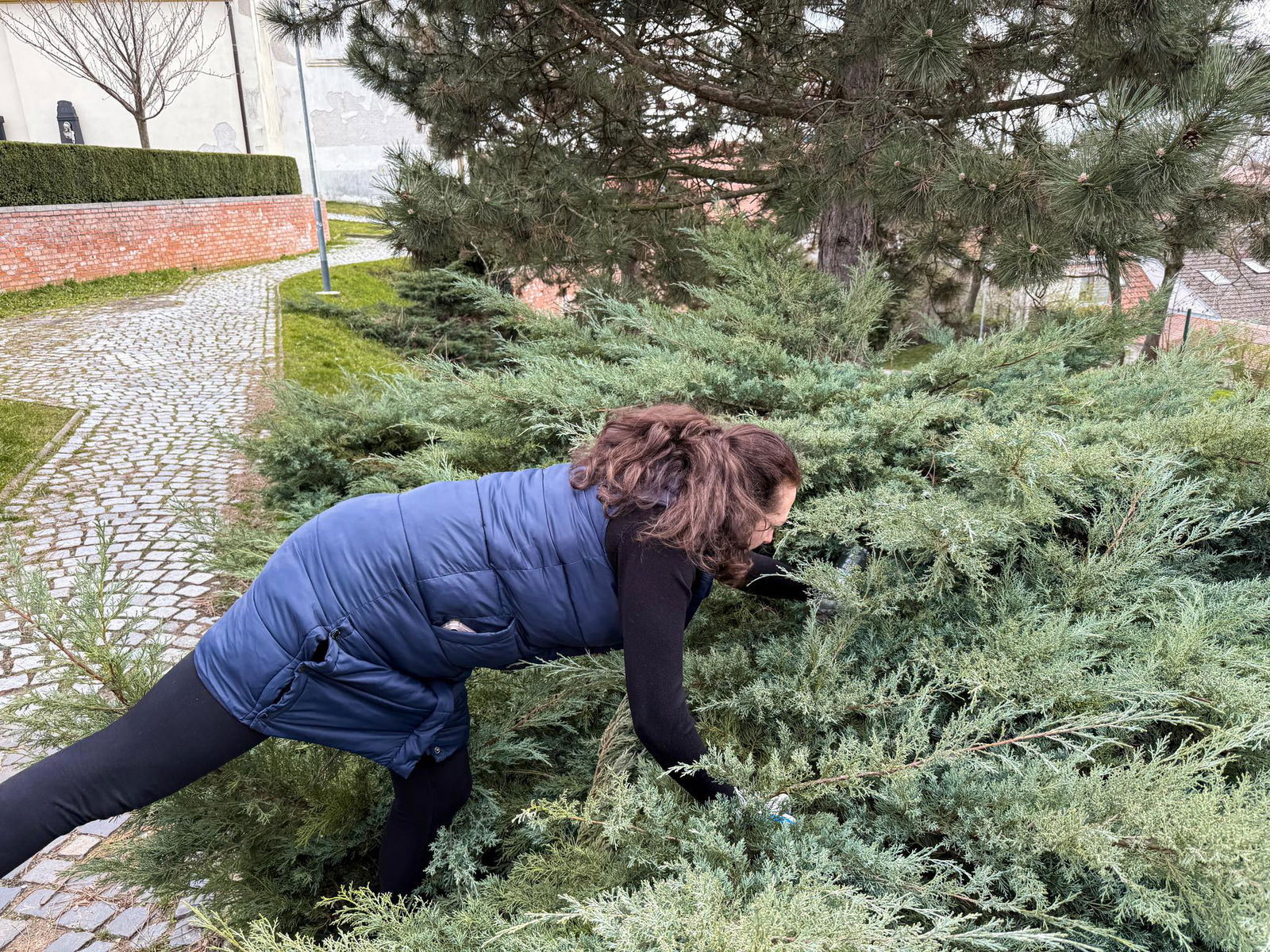 489904813_1099326822232055_7395115238076496006_n