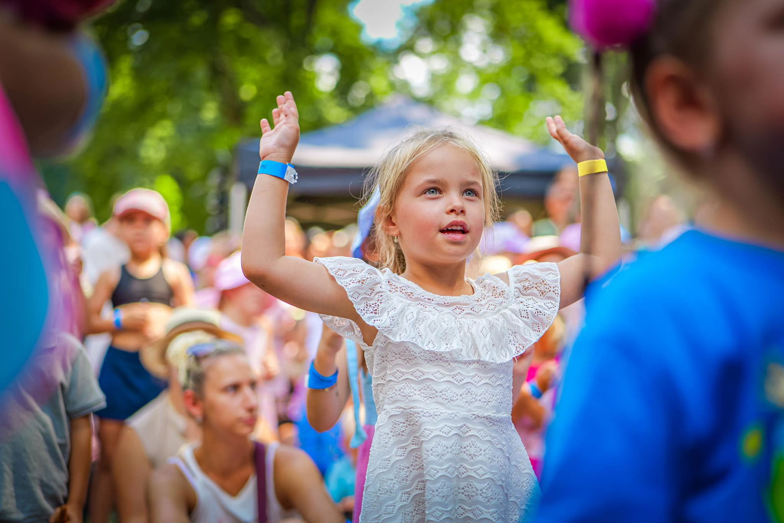 453073812_907651691399570_1688208595805299997_n