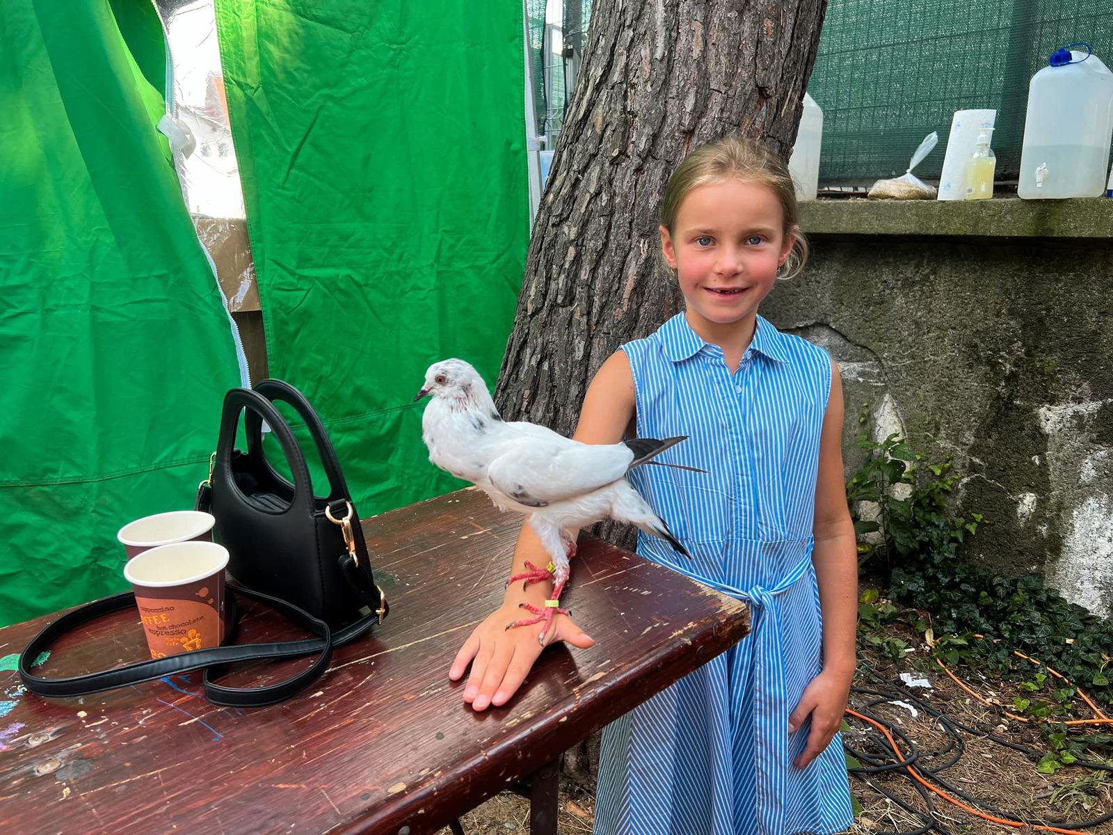 Kyjovské letní slavnosti 2024