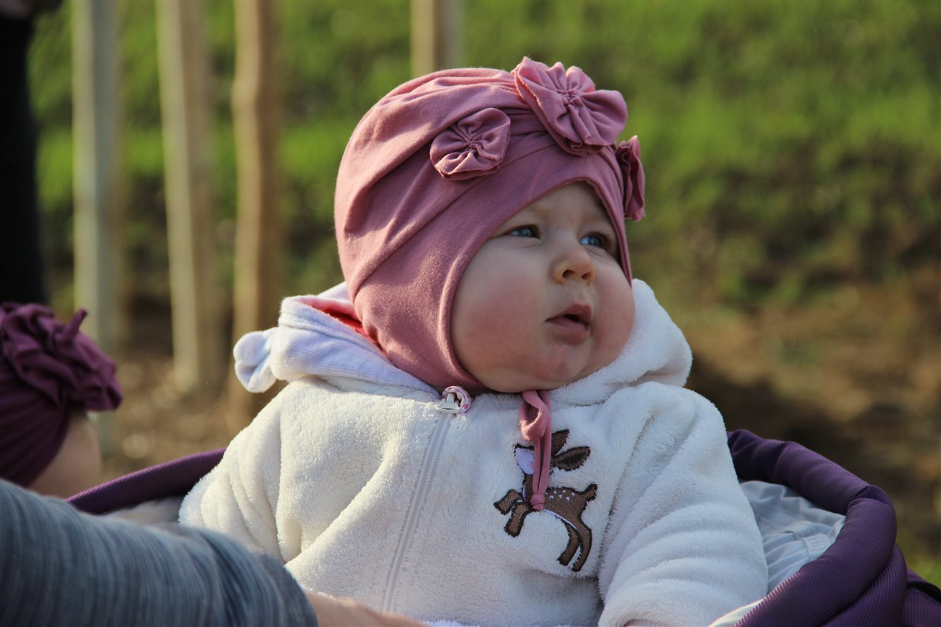 Kyjovská alej života