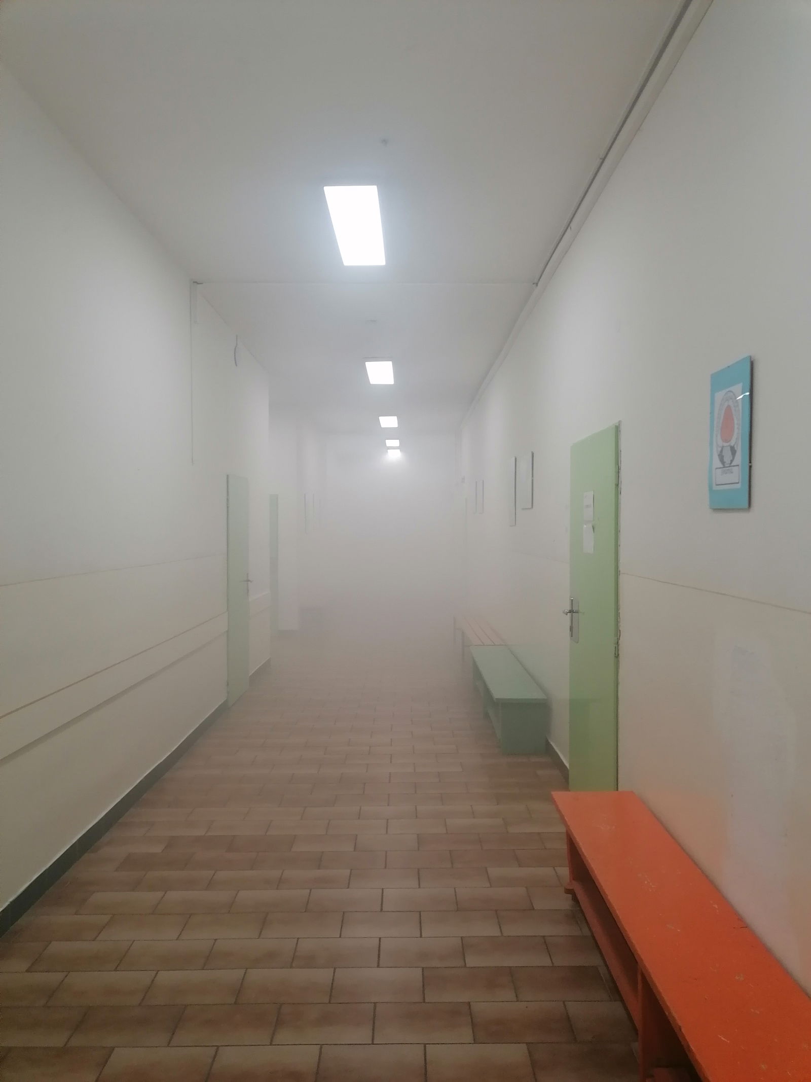 IMG_20240503_091919 - kopie - kopie