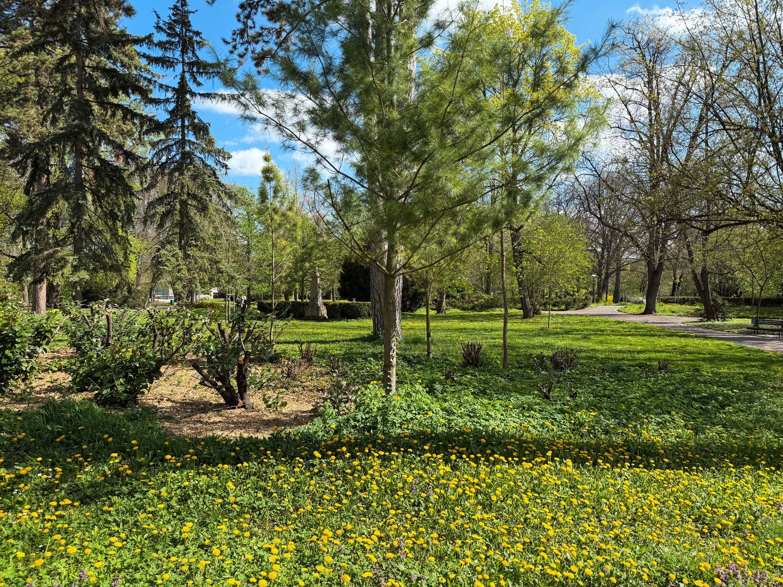 490902582_1113123327519071_3080105557006181163_n