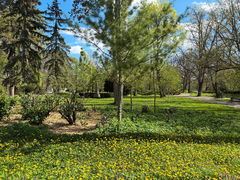 490902582_1113123327519071_3080105557006181163_n