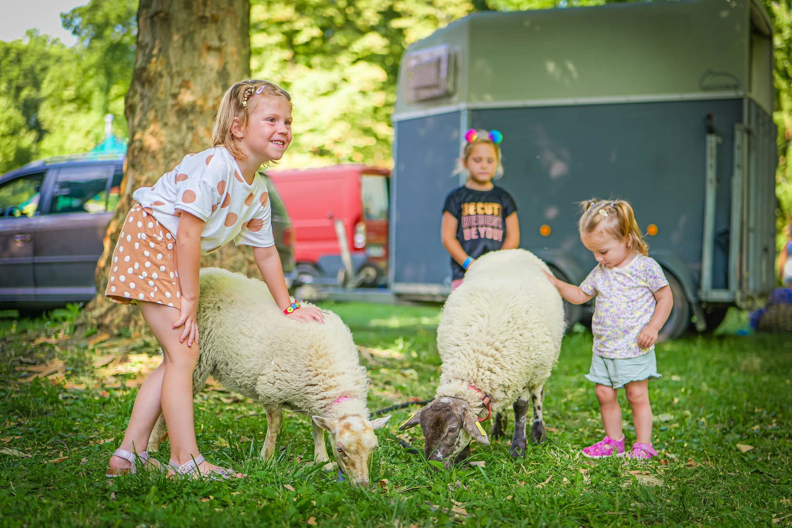 453163091_907652894732783_8755609507094796949_n