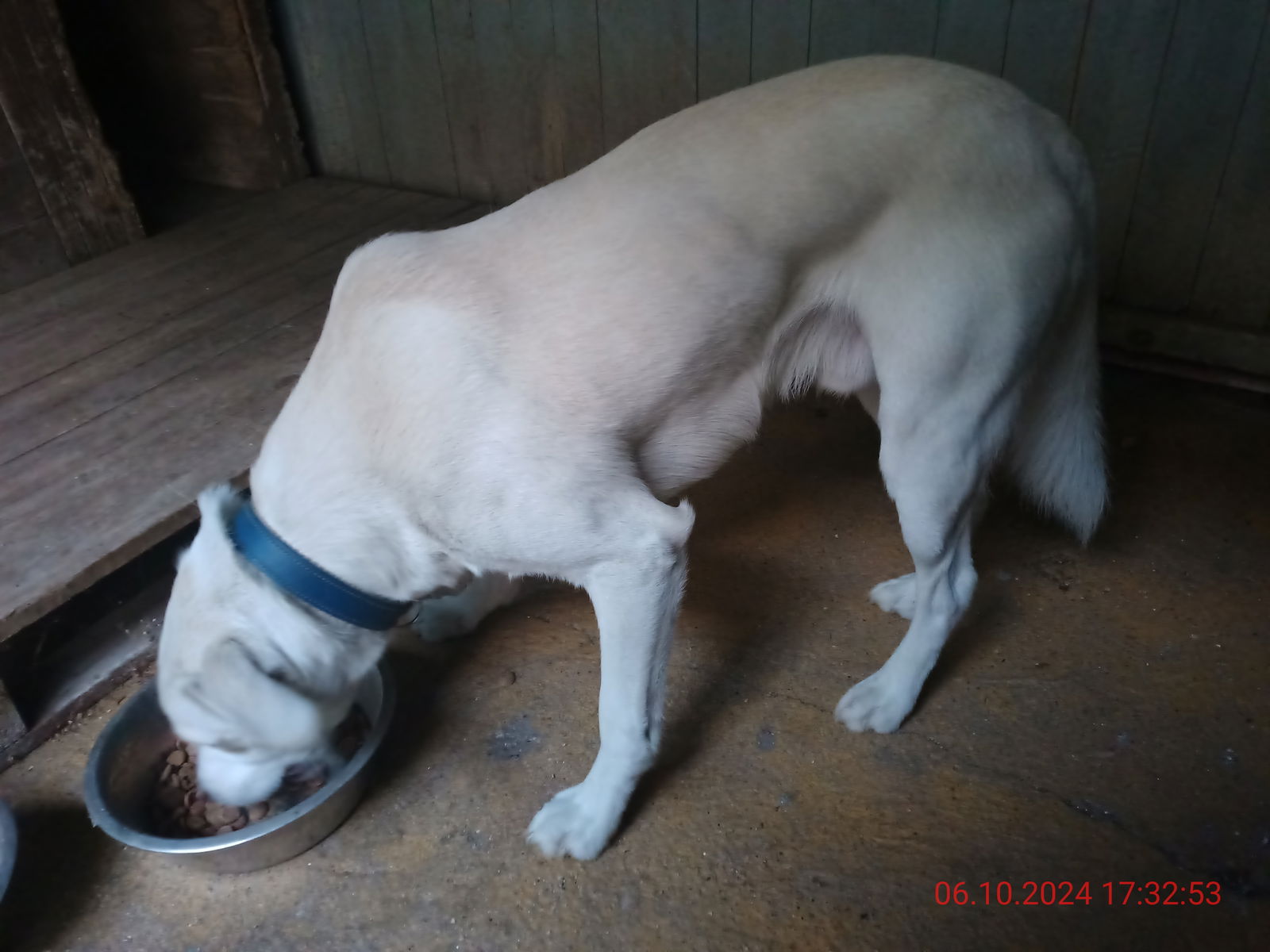 IMG_20241006_173211_517