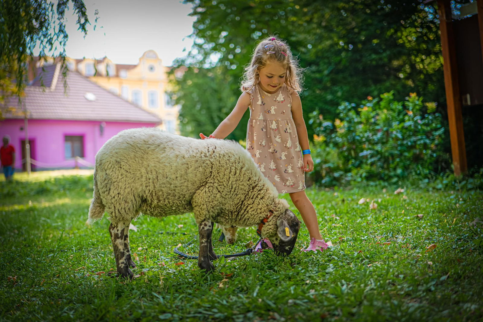 453187689_907652761399463_2268470303273402798_n