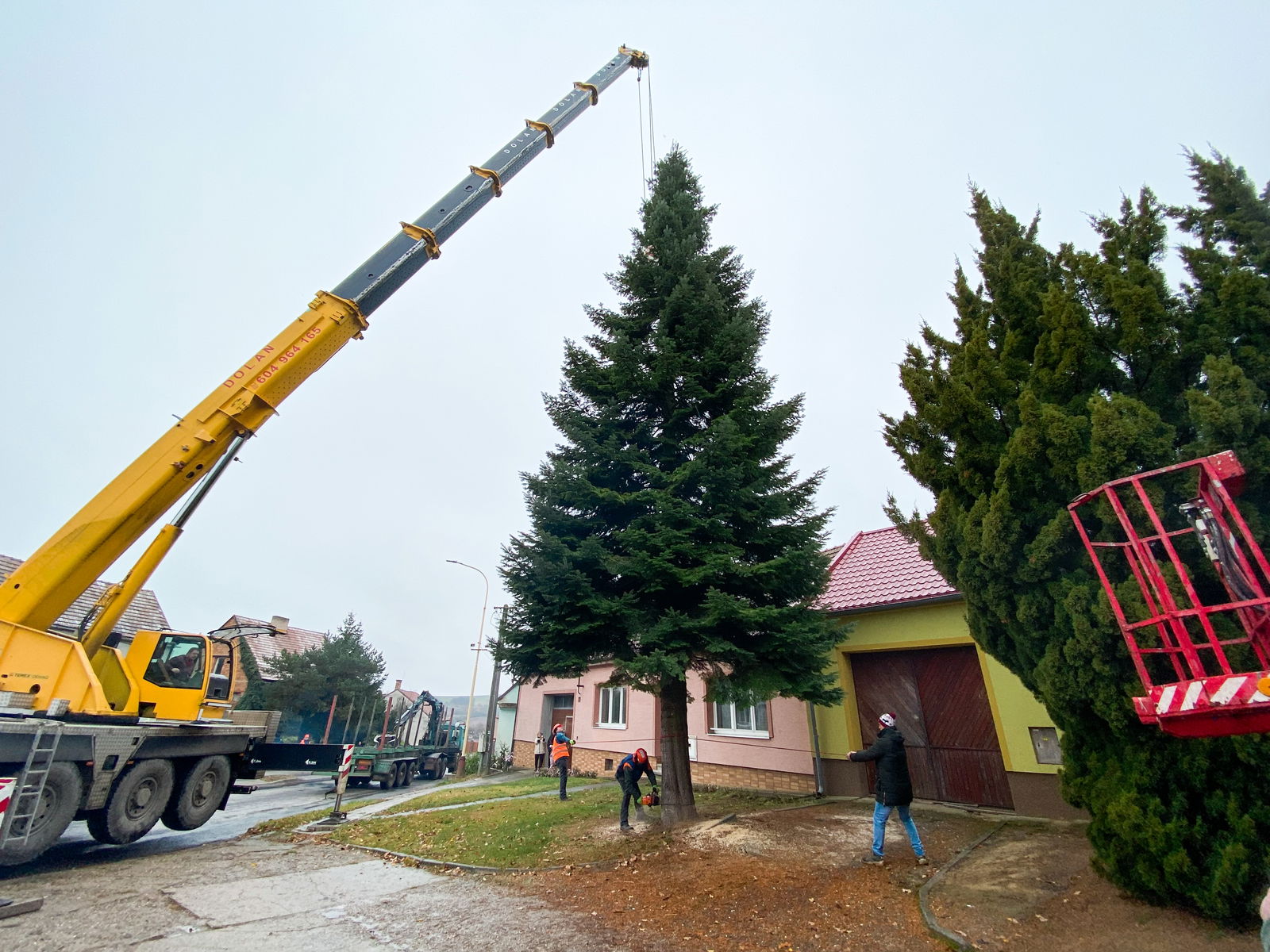 Vánoční strom ještě v Žeravicích.