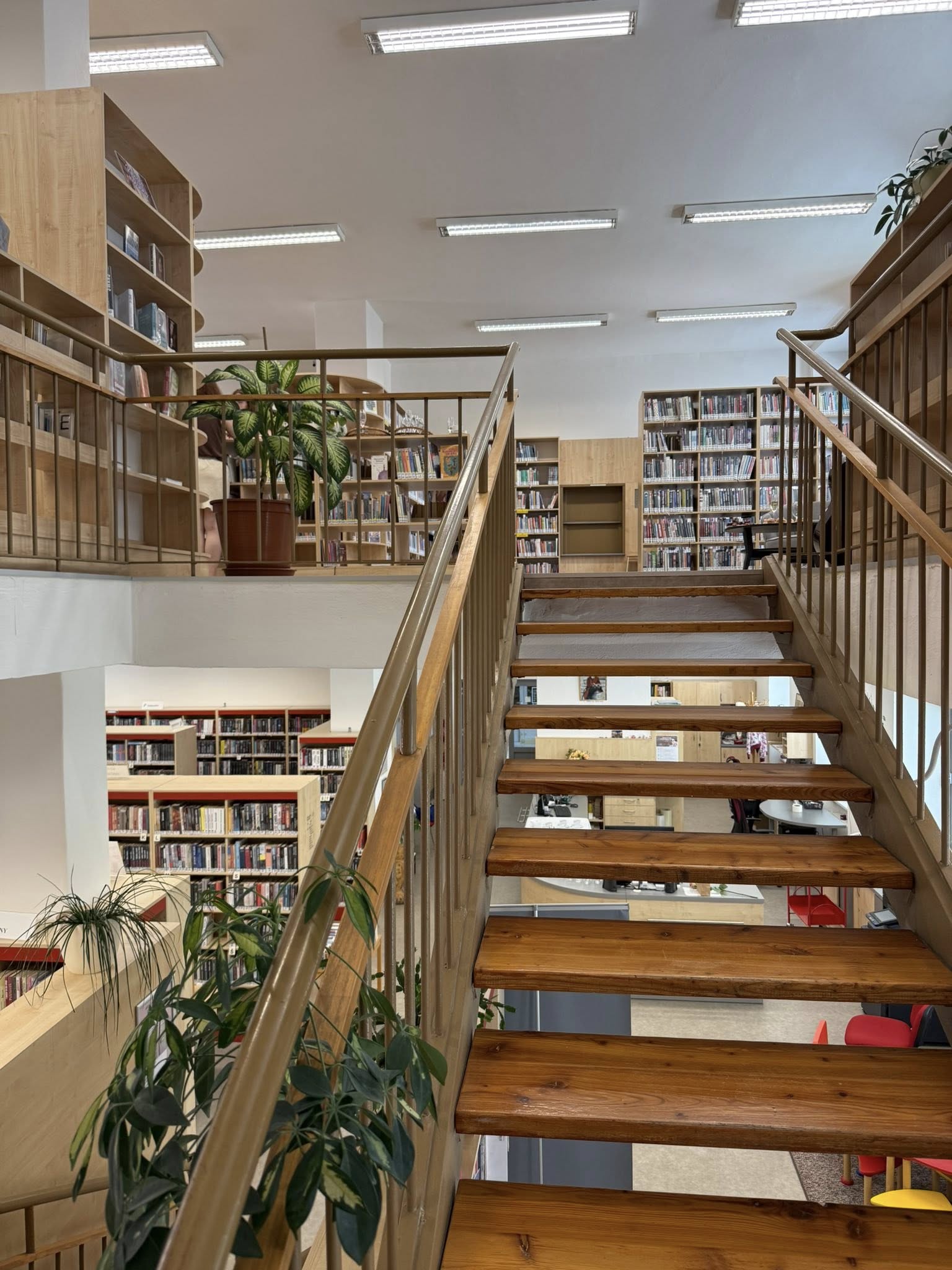 509310710_1156777983153605_8642295539188528531_n