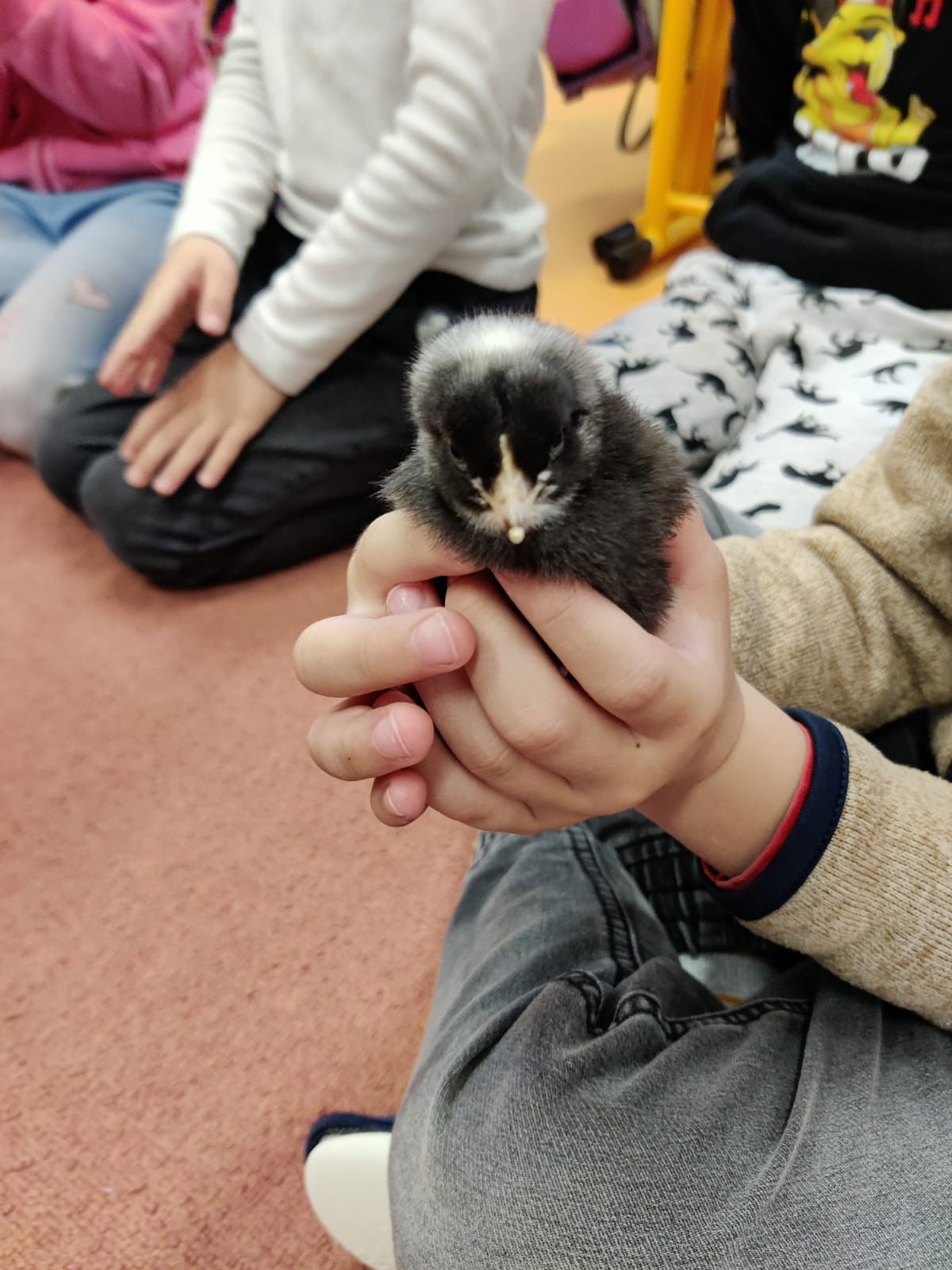 77a770a1-1612-4ac5-ace1-93efda748676