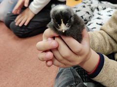 77a770a1-1612-4ac5-ace1-93efda748676